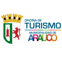 Turismo Arauco