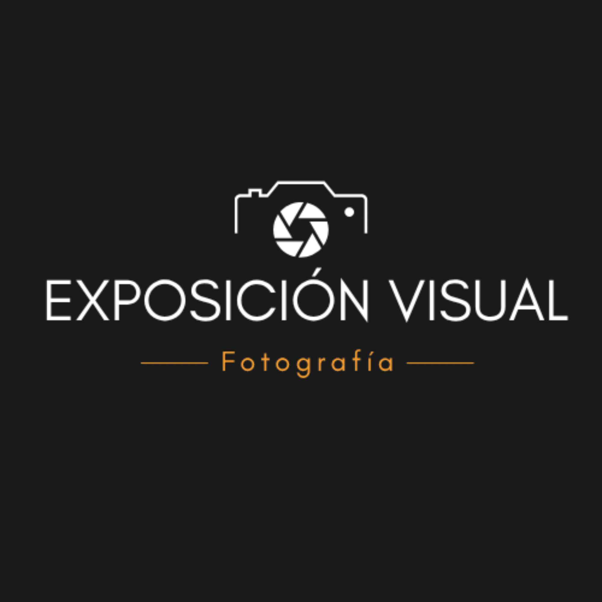 Exposición Visual